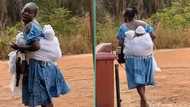Mother straps twin babies to her back at the same time with wrapper, video stuns viewers