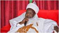 Catch and kill them: Northern Emir reveals what security agencies can do to end banditry