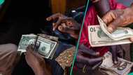 New exchange rate for Naira against US dollar, pound, euro, other currencies in all FX markets
