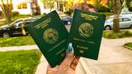 Here is a list of countries every Nigerian can travel to without visa