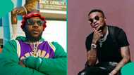 Morayo: Peeps slam Odumodu Blvck after he fails to appear on Wizkid’s album despite earlier claims