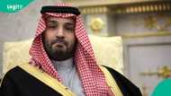 Saudi Arabia releases full list of 17 items not allowed when entering the country in 2026