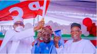 Fresh intrigues, intense lobby as APC stakeholders reveal zone that should produce next Senate president
