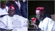Another party files petition against Tinubu, releases list of 11 states where election was allegedly rigged