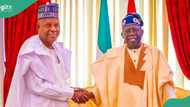 Loyalty to Tinubu: Shettima's speech at UNGA attracts reaction