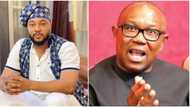 Is it better to lose Peter Obi for 8 years or have him as VP? Actor Nosa Rex shares opinion on 2023 presidency