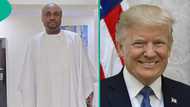 Donald Trump: Davido's aide Isreal DMW 'shakes table' as he compares US election to Nigeria's