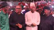 BREAKING: Peter Obi absent as Labour Party names 1,234-member presidential campaign team