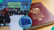 Schengen visa fee: EU lists 4 categories of people fully exempted from paying