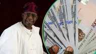 Nigeria seeks $1.5bn loan from World Bank to ease dollar shortage as naira falls to its lowest