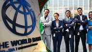 Apply now: World Bank calls on Nigerians, others to apply for paid internship programs