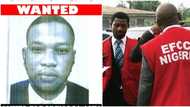 EFCC declares Lagos based man wanted, shares photo of suspect for nationwide identification