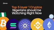 Top 5 layer 1 cryptos Nigerians should watch in 2025