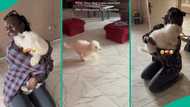 Nigerian lady reunites her dog after 8 months, people say they're cute together