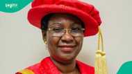 Ex-LASU VC argues public universities require N1m minimum fees for survival