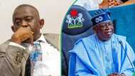 Kogi senator blasted for claiming those who attended Tinubu's endorsement rally were coerced