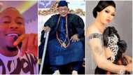 "You dey find husband, you wear abaya": Lege slams late Alaafin of Oyo's wife, orders her to wear shorts
