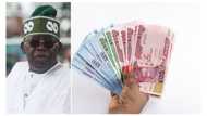 Bank of America speaks on naira devaluation as Tinubu reveals why he unified the exchange rates