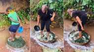"I can't eat this": Market women gather at riverside to wash bitter leaves with feet, reactions trail video