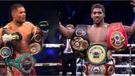 Anthony Joshua will finally face Nigerian opponent if he defeats Usyk