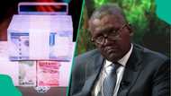 Aliko Dangote opens up on biggest business mistake that cost him billions of naira