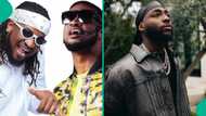 Peter PSquare asked to save one among Davido, Wizkid & brother Rudeboy, response triggers reactions