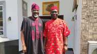 Ike Ekweremadu: PDP chieftain Dino Melaye backs former Deputy Senate President