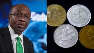 CBN to launch Nigeria's cryptocurrency this year, months after ban