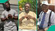 Dele Farotimi: Verydarkman schools Afe Babalola on how to handle arrested lawyer's case
