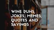 50+ ridiculous wine puns, jokes, memes, quotes and sayings