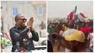 Video shows moment Obidients "changed it" for PDP supporters inside Abuja's popular mechanic village