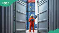 “Over 1,600 containers”: Onne Multipurpose Terminal welcomes largest container vessel