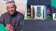 Rabiu’s net worth hits $12.3bn as BUA Foods, BUA Cement rally at NGX