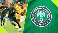 NFF to appoint former defender as Super Eagles interim coach: report