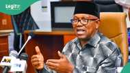 Bye-elections: “Don’t vote for Labour Party,” Peter Obi tells supporters, mentions alternative