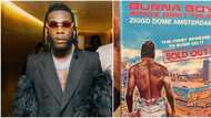 First African to do it: Burna Boy given plaque, artwork after selling out 17k capacity hall in Amsterdam
