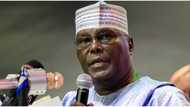 2023: Atiku drops fresh bombshell, says ‘there will be no room for cabal in my government’'