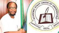 Lecturers pull out of ASUU strike, hail Tinubu’s government efforts