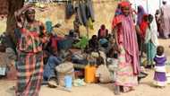 Daruruwan mazauna kauyukan Borno sun koma gida baya gigita su da Boko Haram tayi a jajiberin Kirsimeti