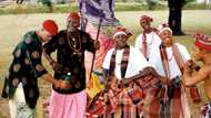 5 interesting facts about Igbo people of Jamaica, number 3 is amazing