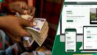 BOI launches digital portal to simplify access to loans for Nigerian businesses