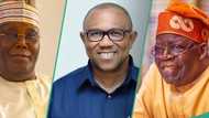 List of 7 Supreme Court judges that will hear Atiku, Peter Obi’s appeal against Tinubu