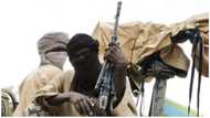 Bandits launch fresh attack in Kaduna, kill APC ward chairman, others