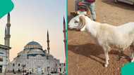 Breaking: Saudi Arabia finally announces date for Eid Al-Adha 2026