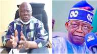 2023: APC, Tinubu in big trouble as powerful PDP chieftain reveals Jagaban’s true identity