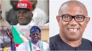 Atiku, Tinubu or Obi: What will determine presidential candidates’ chances of victory, analyst reveals