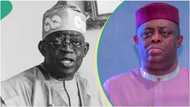 Atiku's aide asks Tinubu to appoint Fani-Kayode as minister, gives reason