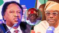 Tinubu's cabinet: "Leave PDP, defect to APC," Shehu Sani tells Wike, states why