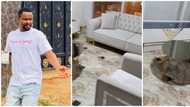 Nollywood actor Zubby Michael splashes N6.3 million on luxury furniture for his home