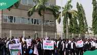 Lawyers storm finance ministry to protest unpaid N4trn contractors debts
